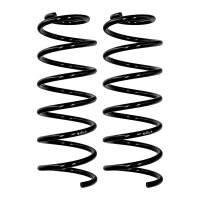 Fahrwerksfedern-Set Vorderachse Ø 12,2 mm 384 mm...