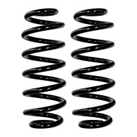 Fahrwerksfedern-Set Hinterachse Ø 13,2 mm 305 mm...