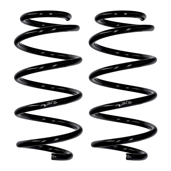 Suspension spring set front axle Ø 13.3 mm 294 mm EIBACH for e.g. VW PASSAT B6