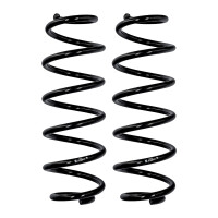 Fahrwerksfedern-Set Hinterachse Ø 10,8 mm 323 mm...