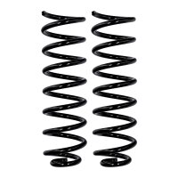 Fahrwerksfedern-Set Hinterachse Ø 10 mm 313 mm...