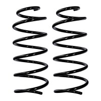 Suspension spring set front axle Ø 13.8 mm 436 mm...