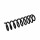 Suspension Spring Set Front Axle Coil Spring Ø 13.5 mm EIBACH for MB E-CLASS