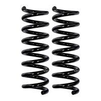 Fahrwerksfedern-Set Hinterachse Ø 13,8 mm 311 mm...