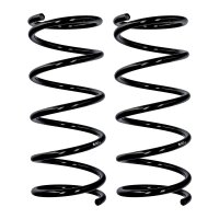 Suspension spring set rear axle Ø 13.5 mm 384 mm...