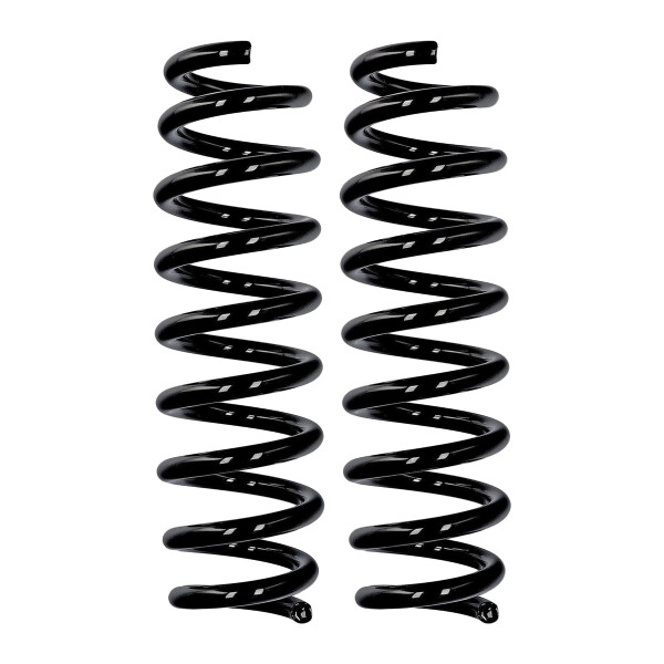 Suspension spring set rear axle Ø 13.2 mm 342 mm EIBACH for e.g. BMW 3