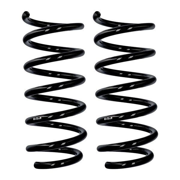 Fahrwerksfedern-Set vorne Ø 16 mm 363 mm EIBACH für u.a. RENAULT TRAFIC II