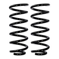 Fahrwerksfedern-Set Hinterachse Ø 13,2 mm 318 mm...