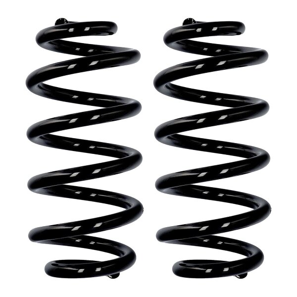 Suspension spring set rear axle Ø 15.5 mm 295 mm EIBACH for e.g. AUDI A6 C6 At