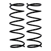 Fahrwerksfedern-Set Vorderachse Ø 12,5 mm 460 mm...