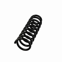 Suspension Spring Set Rear Axle Coil Spring Ø 11.8 mm EIBACH for AUDI A4