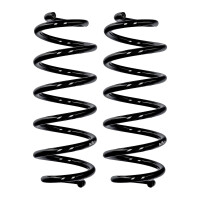 Fahrwerksfedern-Set Hinterachse Ø 11,8 mm 299 mm...