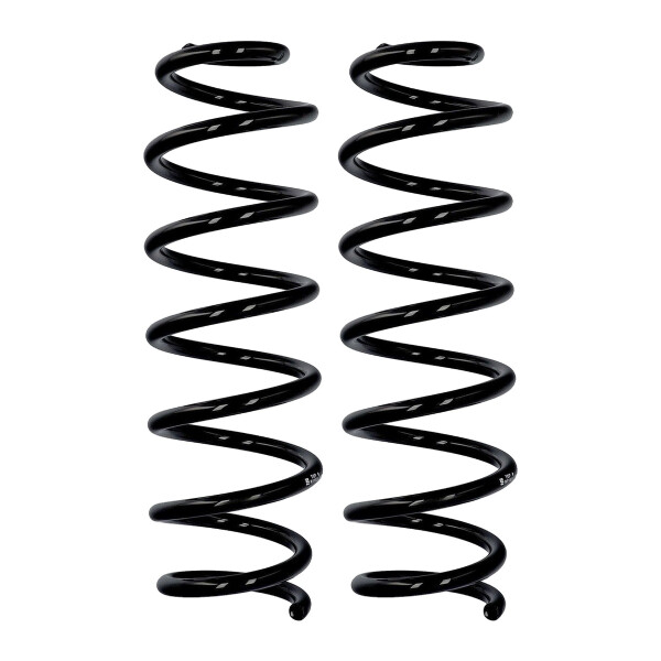 Suspension spring set rear Ø 11.3 mm 369 mm EIBACH for e.g. RENAULT SCÉNIC III