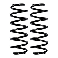 Fahrwerksfedern-Set Hinterachse Ø 10,2 mm 302 mm...