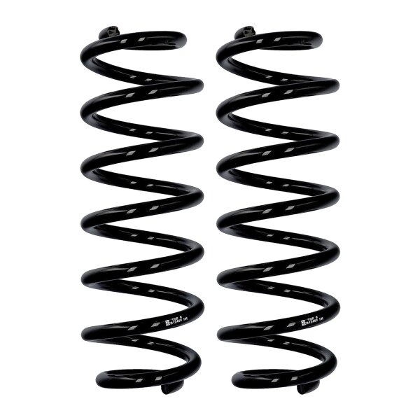 Suspension spring set rear axle Ø 12.5 mm 327 mm EIBACH for e.g. VW PASSAT B6
