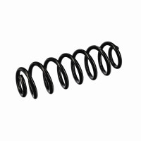 Suspension Spring Set rear axle coil spring Ø 12.5 mm EIBACH for e.g. VW GOLF