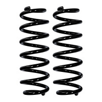 Fahrwerksfedern-Set Hinterachse Ø 13,3 mm 312 mm...