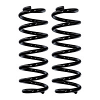 Suspension spring set rear axle Ø 12.5 mm 303 mm...