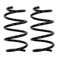 Fahrwerksfedern-Set Vorderachse Ø 12,5 mm 250 mm...