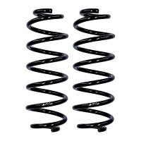 Suspension spring set rear Ø 11.8 mm 319 mm EIBACH...
