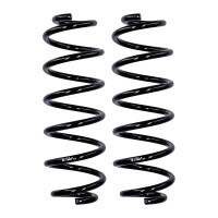 Suspension spring set rear axle Ø 11 mm 320 mm...