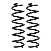 Suspension spring set rear axle Ø 10.5 mm 354 mm...
