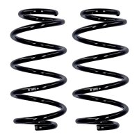 Fahrwerksfedern-Set Hinterachse Ø 11,8 mm 256 mm...