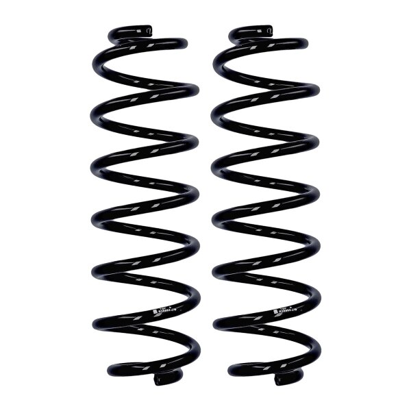 Suspension spring set rear axle Ø 12.3 mm 366 mm EIBACH for e.g. VW PASSAT B8