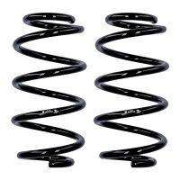 Fahrwerksfedern-Set Hinterachse Ø 12,2 mm 252 mm...