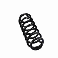 Suspension Spring Set rear coil spring Ø 12.5 mm EIBACH for e.g. VW TIGUAN
