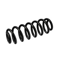 Suspension Spring Set rear coil spring Ø 14 mm EIBACH for e.g. CUPRA LEON