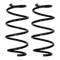 Fahrwerksfedern-Set Vorderachse Ø 12,5 mm 326 mm...