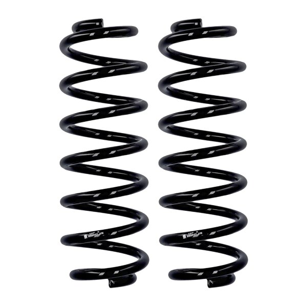 Suspension spring set rear axle Ø 12.8 mm 324 mm EIBACH for e.g. VW PASSAT B8