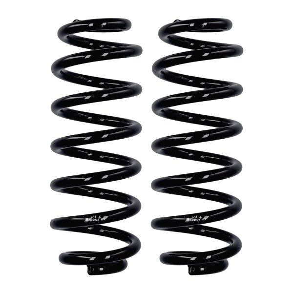 Suspension spring set rear axle Ø 13.8 mm 315 mm EIBACH for e.g. VW TOURAN