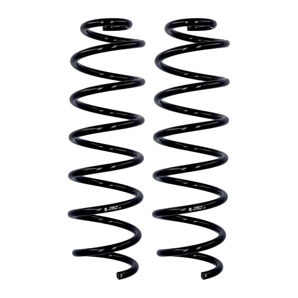 Fahrwerksfedern-Set Hinterachse Ø 10,8 mm 363 mm EIBACH für RENAULT MEGANE III