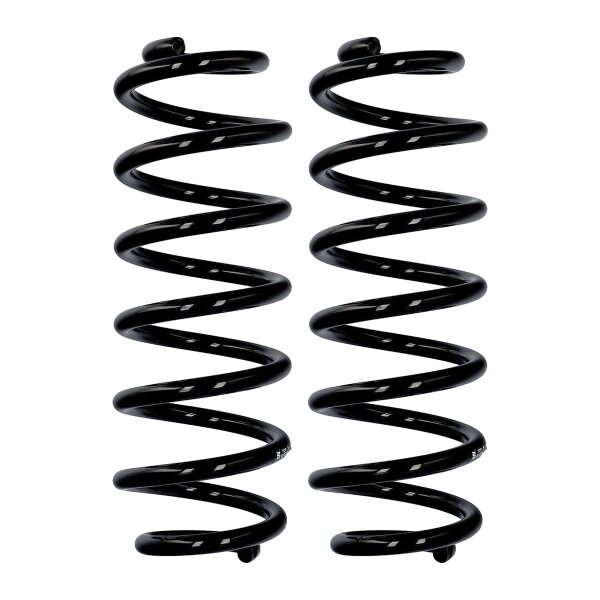 Fahrwerksfedern-Set Hinterachse Ø 12,3 mm 325 mm EIBACH für u.a. VW PASSAT B6