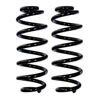 Suspension spring set rear Ø 13.8 mm 315 mm EIBACH...