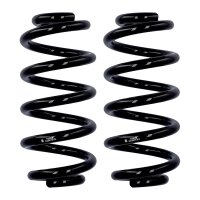 Fahrwerksfedern-Set Hinterachse Ø 15 mm 263 mm...