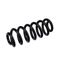 Suspension Spring Set rear axle coil spring Ø 15.8 mm EIBACH for e.g. AUDI A6