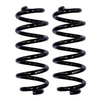 Fahrwerksfedern-Set Hinterachse Ø 14 mm 289 mm...