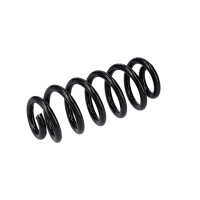 Suspension Spring Set Rear Axle Coil Spring Ø 14 mm EIBACH for AUDI A6