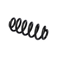 Suspension Spring Set Rear Axle Coil Spring Ø 14 mm EIBACH for AUDI A6