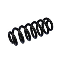 Suspension Spring Set rear axle coil spring Ø 16 mm EIBACH for e.g. AUDI A6