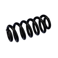 Suspension Spring Set rear axle coil spring Ø 16 mm EIBACH for e.g. AUDI A7