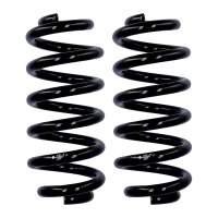 Fahrwerksfedern-Set Hinterachse Ø 16,5 mm 285 mm...