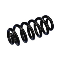 Suspension Spring Set Rear Axle Coil Spring Ø 16.5 mm EIBACH for AUDI A6
