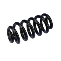 Suspension Spring Set rear axle coil spring Ø 17.3 mm EIBACH for e.g. AUDI A7