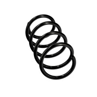 Suspension Spring Set front axle coil spring Ø 12 mm EIBACH for e.g. VW POLO