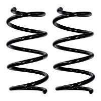 Fahrwerksfedern-Set Vorderachse Ø 12,3 mm 269 mm...