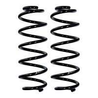 Suspension spring set rear axle Ø 10 mm 294 mm...